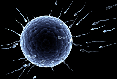 ¿Qué causa la infertilidad masculina?
